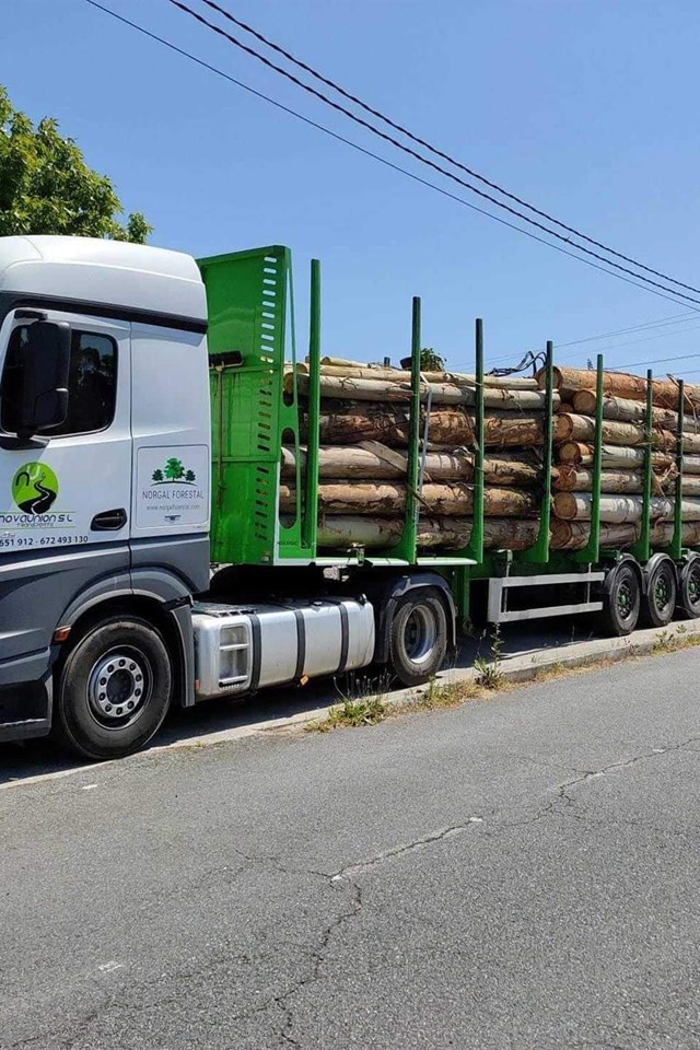  Compra y venta de madera en Galicia