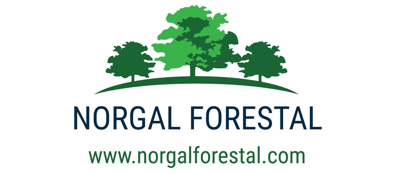 Norgal Forestal, comrpra y venta de madera, desbroces y plantaciones.