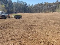 3 motivos por los que comprar una finca en Galicia