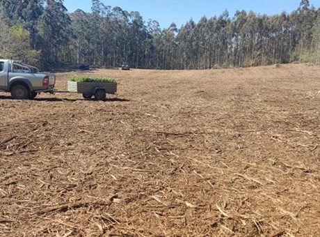 3 motivos por los que comprar una finca en Galicia