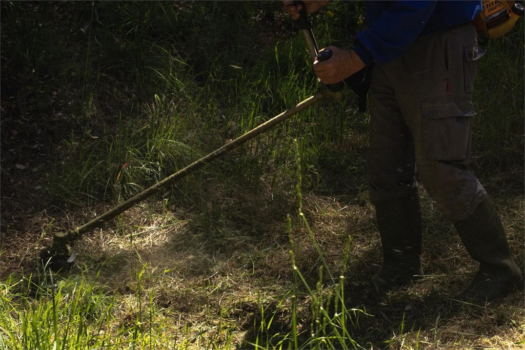 3 pasos esenciales para un correcto mantenimiento de la finca