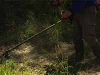 3 pasos esenciales para un correcto mantenimiento de la finca