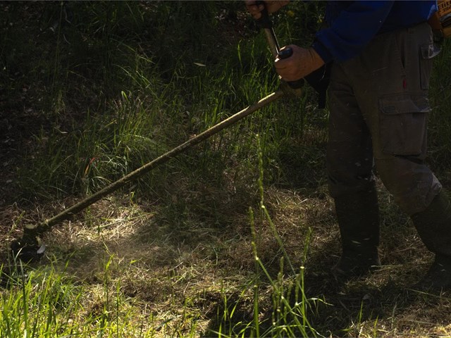 3 pasos esenciales para un correcto mantenimiento de la finca