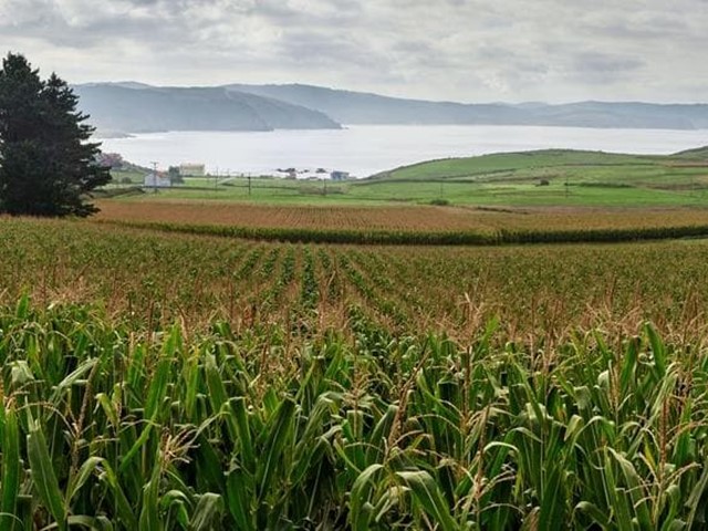 ¿Busca arrendar una finca en Galicia? Se lo ponemos fácil