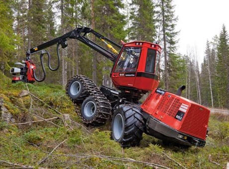 ¿Cuánto cuesta desbrozar y plantar una finca en Galicia?