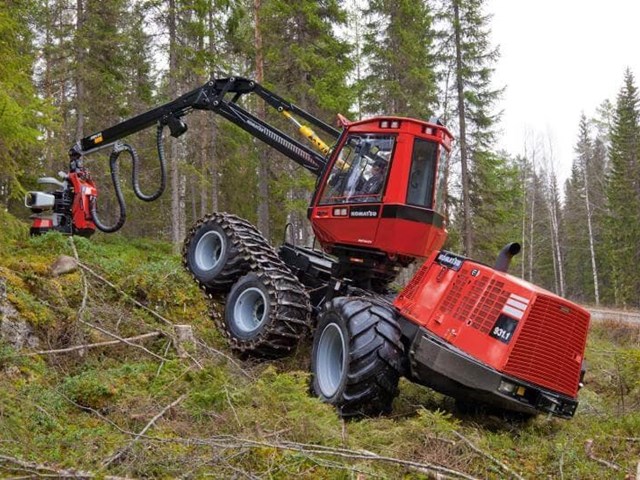 ¿Cuánto cuesta desbrozar y plantar una finca en Galicia?