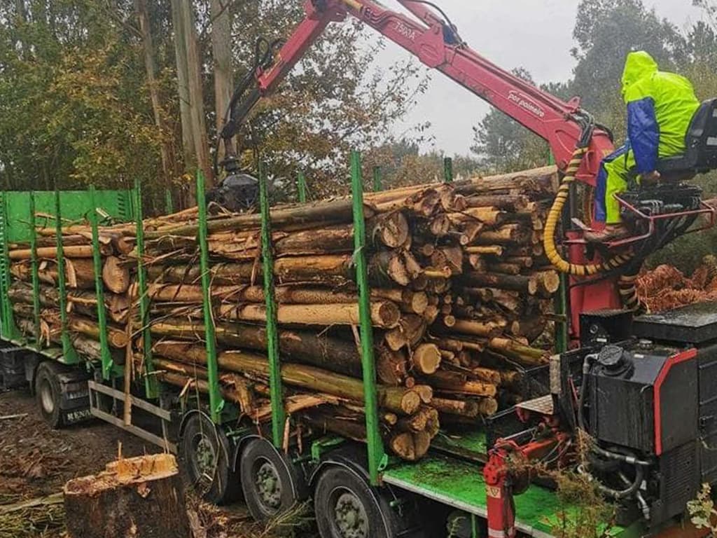 Venta de madera en Galicia