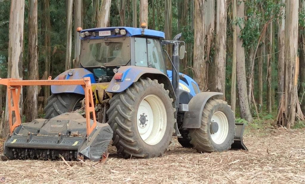 Desbroces y plantaciones de terrenos en Galicia