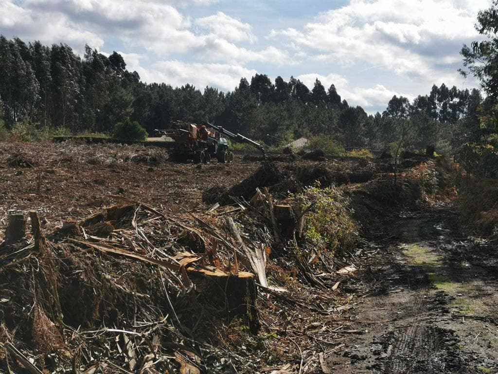 Trabajos y servicios de Norgal Forestal