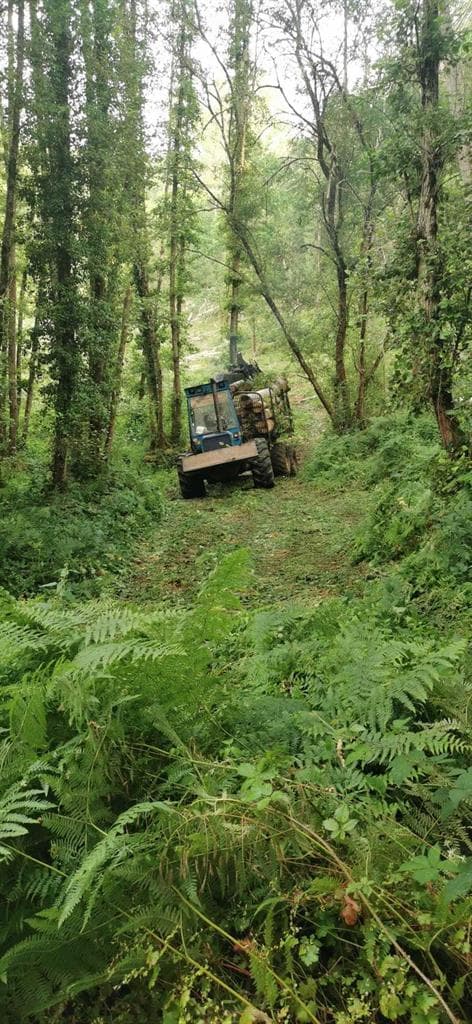 Trabajos y servicios de Norgal Forestal