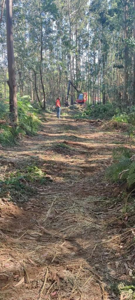 Trabajos y servicios de Norgal Forestal