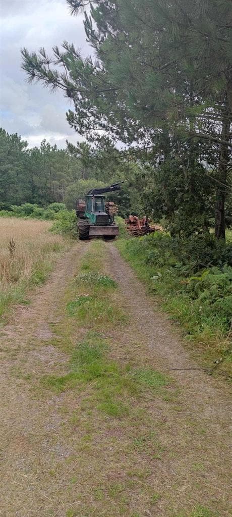 Trabajos y servicios de Norgal Forestal