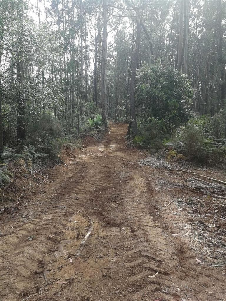 Trabajos y servicios de Norgal Forestal