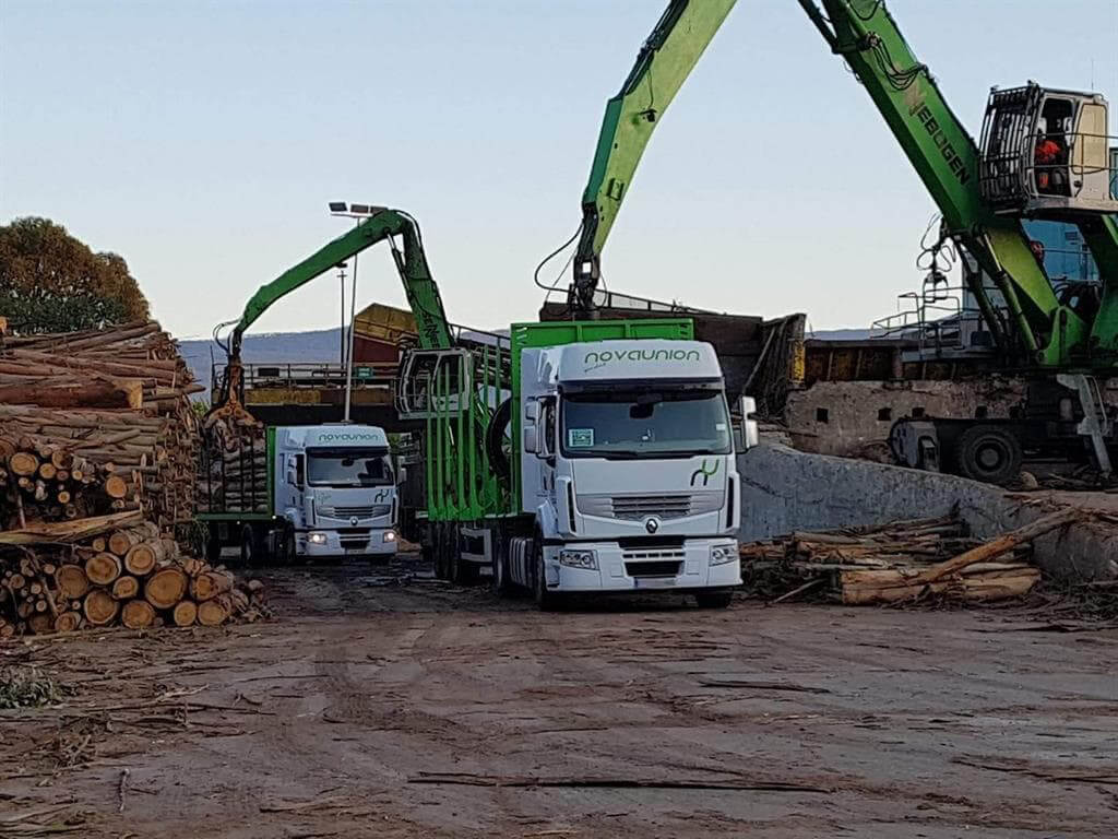 Comprar madera en Galicia