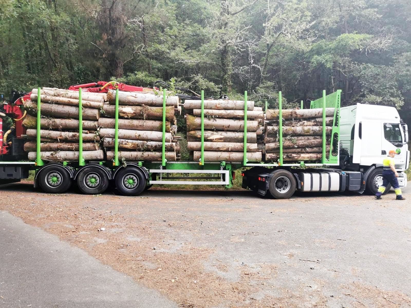 Compra de madera en Galicia