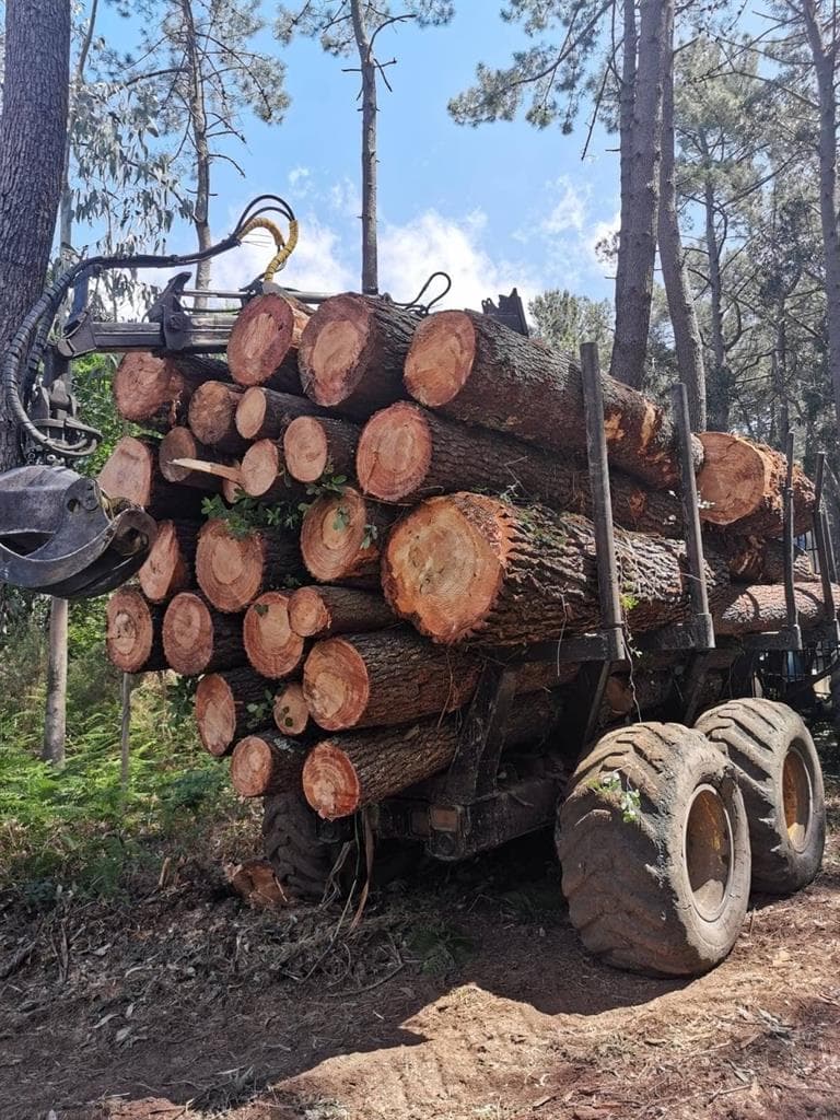 Norgal Forestal y compromiso medioambiental