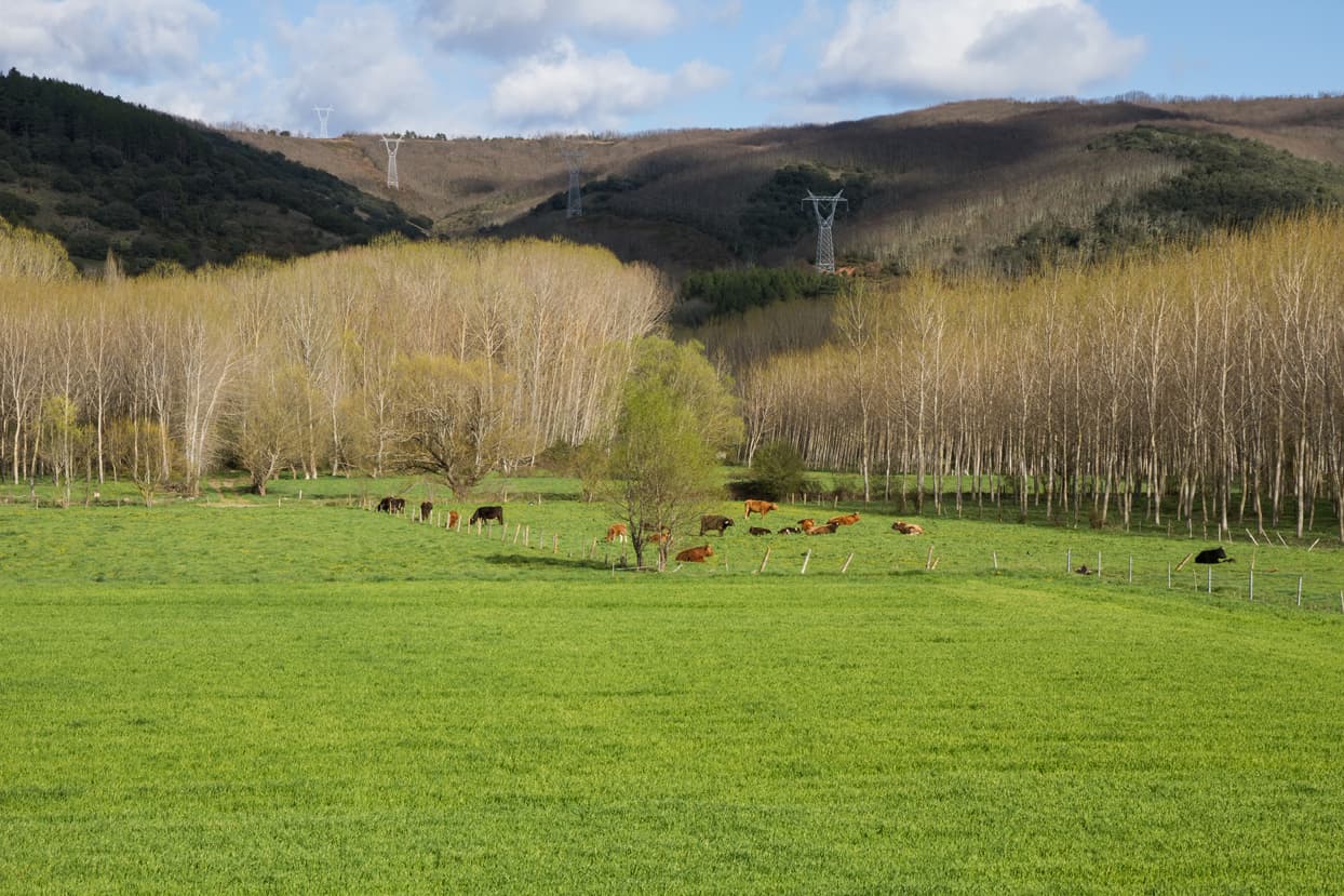 Vender o comprar terreno en Galicia