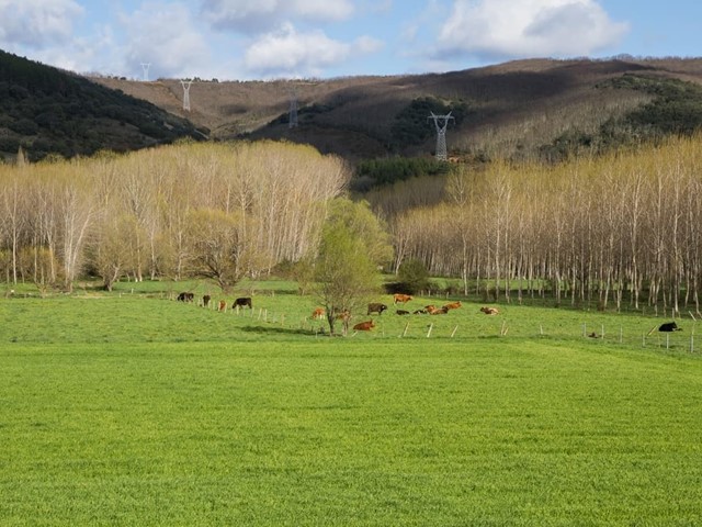 Los mejores lugares para comprar fincas en Galicia