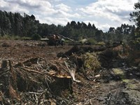 ¿Por qué arrendar una finca?