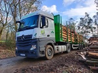 ¿Por qué debes de comprar madera en el verano? 